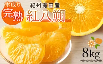 G7105_【2026年先行予約】紀州有田産 木成り完熟 紅八朔 8kg