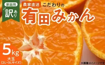 ZT6300_こだわりの 有田みかん 大玉 5kg (2L～3Lサイズ)【訳あり 家庭用】