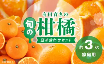 AB7204_（旬の美味）（みかん名産地和歌山有田）有田育ちの旬の ご家庭　旬の柑橘 詰め合わせセット 4.5kg（訳あり）