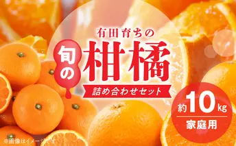 AB7205_（旬の美味）（みかん名産地和歌山有田）有田育ちの ご家庭用 旬の柑橘 詰め合わせセット8kg（訳あり）