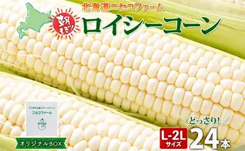 【 2026年 発送 】 北海道産 とうもろこし 計24本 L-2L サイズ混合 ロイシーコーン 大きめ 旬 朝採り 新鮮 トウモロコシ 甘い 夏野菜 とうきび お取り寄せ 産地直送 野菜 しりべしや 送料無料 倶知安町 