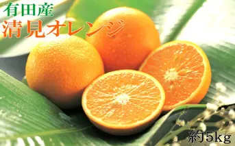 ZD7005_【2026年先行予約】【濃厚】有田産清見オレンジ約5kg（サイズおまかせ・青秀以上）