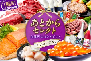 あとからセレクト【ふるさとギフト】９０万円_S900-9018