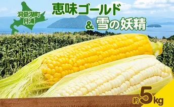 北海道 月浦 めぐみ ゴールド 雪の妖精 5kg 先行受付 2026年8月中旬~9月中旬頃お届け とうもろこしトウモロコシ とうきび コーン 恵味 旬 野菜 朝採り 産地直送 青山農園