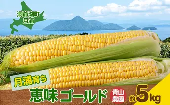 北海道 月浦 めぐみ ゴールド 5kg 先行受付 2026年8月中旬~9月中旬頃お届け とうもろこしトウモロコシ とうきび 恵味 コーン 旬 野菜 甘い 大粒 人気 朝採り 産地直送 青山農園 洞爺湖