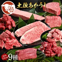 土佐あか牛協会が認定する「土佐熟成あかうし」詰め合わせ9種（合計6.6kg）サイコロステーキ ロース カルビ スネ ヒレ シャトーブリアン サーロイン ブロック肉 特選 赤身 牛 牛肉 和牛 国産 天下味 エイジング工法 熟成肉