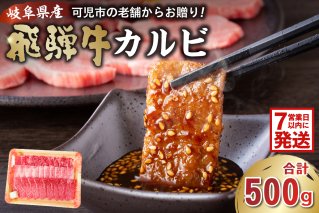飛騨牛カルビ500g 焼肉 BBQ 肉 牛肉 和牛 ブランド牛 黒毛和牛 国産 赤身 脂身 霜降り 【0016-054】