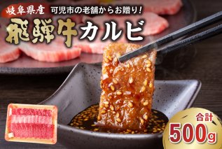 飛騨牛カルビ500g 焼肉 BBQ 肉 牛肉 和牛 ブランド牛 黒毛和牛 国産 赤身 脂身 霜降り 【0016-054】