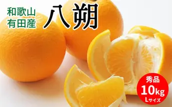 U6301_【2026年先行予約】八朔 秀品 約10kg Lサイズ 和歌山県有田産