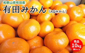 U6305_有田みかん（AQみかん）約10kg Mサイズ 和歌山県有田産