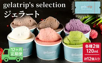 ≪12ヵ月定期便≫gelatrip's selection ジェラート12個BOX 