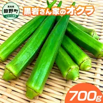 黒岩さん家のオクラ 700g オクラ 国産 おくら 国産オクラ 新鮮野菜 美味しい 野菜 厳選 新鮮 おかず 常温 配送 副菜 惣菜 煮物 朝どれ 詰め合わせ 取り寄せ グルメ お取り寄せグルメ お取り寄せ サラダ ふるさとのうぜい 返礼品 高知県 高知 4000円
