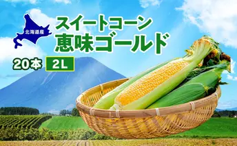 北海道産 スイート コーン めぐみゴールド 2Lサイズ 20本 先行受付 2026年8月上旬~下旬頃お届け とうもろこし 恵味 めぐみ トウモロコシ 旬 完熟 朝もぎ 野菜 産地直送 お取り寄せ 北海道 丸田農園 洞爺湖