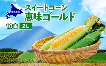 北海道産 スイート コーン めぐみゴールド 2Lサイズ 10本 先行受付 2026年8月上旬~下旬頃お届け とうもろこし 恵味 めぐみ トウモロコシ 旬 完熟 朝もぎ 野菜 産地直送 お取り寄せ 北海道 丸田農園 洞爺湖
