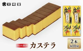 文明堂 カステラ 2本 (1本10切れ) セット 詰め合わせ カット済み 和菓子 焼菓子 焼き菓子 お菓子 菓子 おやつ デザート スイーツ 文明堂カステラ 添加物不使用 保存料不使用 ギフト 贈り物 プレゼント 兵庫 兵庫県 稲美町