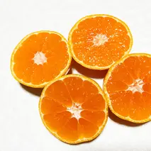 AT6261n_【訳あり】有田みかん約4kgサイズ混合【湯浅町】