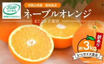 ZE6443_【2026年先行予約】和歌山県産 ネーブルオレンジ 【訳あり 家庭用】3kg サイズ混合【まごころ手選別】
