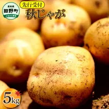 【四国一小さなまちのじゃがいも】★令和7年11月中旬発送開始★ 大野台地で採れた『 令和7年産 秋じゃが 』 5kg