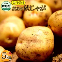 【四国一小さなまちのじゃがいも】★令和7年11月中旬発送開始★ 大野台地で採れた『 令和7年産 秋じゃが 』 5kg　～ 訳あり ～