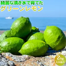 EA6100_綺麗な湧き水で育てたグリーンレモン 2kg (大小混合)
