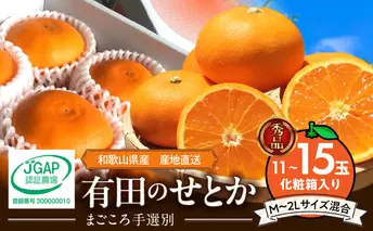 ZE6401n_【2026年先行予約】湯浅町産せとか11～15玉（M～2Lサイズ混合）化粧箱入り秀品【まごころ手選別】