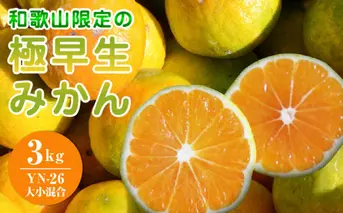 EA6104_和歌山県限定の極早生みかん 3kg (YN-26 大小混合)