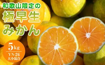 EA6105_和歌山県限定の極早生みかん 5kg (YN-26 大小混合)
