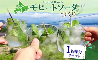 北海道 モヒート ソーダ 作り 体験 ハーブ ミント サイダー ノンアルコール ノンアル オリジナル 天然 リラックス 癒し リラクゼーション 健康 ハーバルランチ 送料無料 洞爺湖
