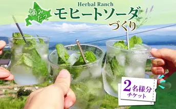北海道 モヒート ソーダ 作り 体験 2枚 ハーブ ミント サイダー ノンアルコール ノンアル オリジナル 天然 リラックス 癒し リラクゼーション ハーバルランチ 送料無料 洞爺湖