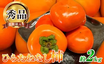 G7109_【2025年先行予約】和歌山秋の味覚 平核無柿（ひらたねなしがき）約2kg 化粧箱入	