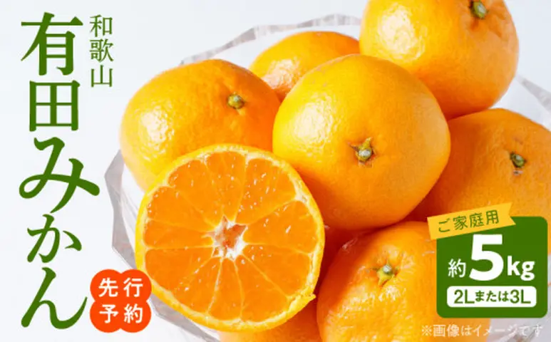AT6307_【2026年先行予約】ご家庭用 和歌山有田みかん 約5kg (2L、3L