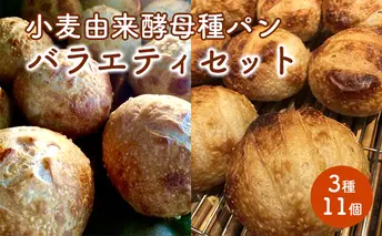 小麦由来酵母種パンバラエティセット 3種11個 