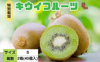 ＜12月以降順次発送＞こだわり プレミアムキウイフルーツ Sサイズ 20個入×2箱 追熟処理済 ／ ふるさと納税 キウイ キウイフルーツ ギフト 栄養 果物 お土産 化学肥料不使用 特別栽培 塩 奈良県 宇陀市 やまとファームJAPAN