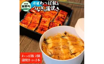 【ふるさと納税】★四国一小さなまち★田野町産うなぎのわっぱ飯2個+うなぎの蒲焼き(小)2尾 鰻 ウナギ お弁当 ご飯 ごはん めし わっぱめし かば焼き 無頭 タレ付き 山椒付き ふっくら 美味しい 手軽 簡単 レンジ お取り寄せ 冷凍 配送 高知県 田野町 ふるさとのうぜい 故郷納税 返礼品