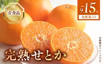 BF6049n_（2026年先行受付）完熟 せとか 青秀品 9～15玉 化粧箱