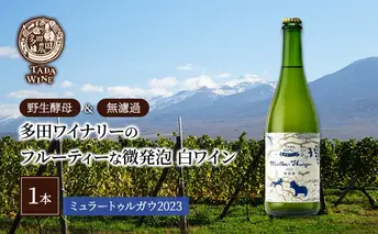【酸化防止剤無添加】フルーティーな微発泡 白ワイン1本◎野生酵母＆無濾過◎TADA WINERY