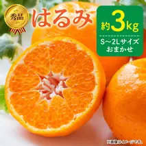 DZ6109_【2026年先行予約】秀品 はるみ 和歌山 有田 S～2Lサイズ 大きさお任せ 約3kg