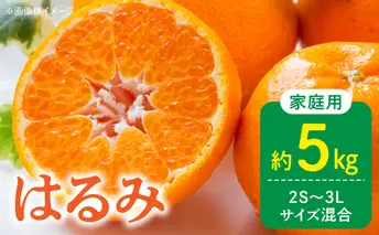 DZ6228_【2026年先行予約】訳あり 家庭用 はるみ 和歌山 有田 2S～3Lサイズ混合 5kg