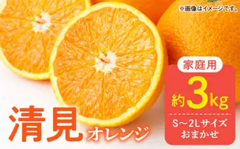 DZ6104_【2026年先行予約】ご家庭用 きよみ 清見オレンジ 和歌山 有田 S～2Lサイズ 大きさお任せ 約3kg