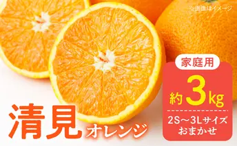 DZ6226_【2026年先行予約】訳あり 家庭用 きよみ 清美オレンジ 和歌山 有田 2S～3Lサイズ混合 3kg