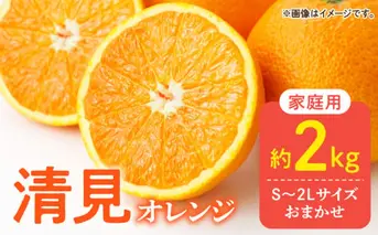 DZ6105_【2026年先行予約】ご家庭用 きよみ 清見オレンジ 和歌山 有田 S～2Lサイズ 大きさお任せ 約2kg