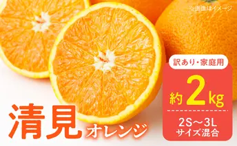 DZ6227_【2026年先行予約】訳あり 家庭用 きよみ 清美オレンジ 和歌山 有田 2S～3Lサイズ混合 2kg