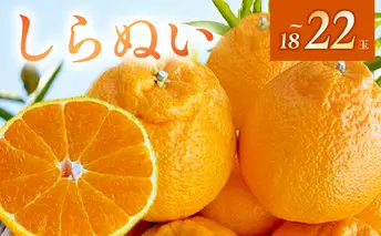 BF6064_（2026年先行受付）しらぬい（デコポン）18～22玉入り ※着日指定不可