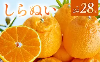 BF6065_（2026年先行受付）しらぬい（デコポン）24～28玉入り ※着日指定不可