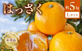 BF6067_（2026年先行受付）はっさく 赤秀品 Lサイズ 5kg ※着日指定不可
