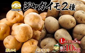北海道産じゃがいも 男爵 キタアカリ各約5kg Lサイズ 計10kg ジャガイモ 男爵いも 北あかり 馬鈴薯 ポテト 根菜 常備野菜 産直 国産 JAようてい 送料無料 北海道 倶知安町