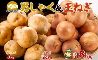 北海道産じゃがいも 男爵 5kg 玉ねぎ 3kg Lサイズ 計約8kg ジャガイモ 男爵いも 馬鈴薯 ポテトタマネギ 玉葱 常備野菜 根菜 産直 国産 JAようてい 送料無料 北海道 倶知安町