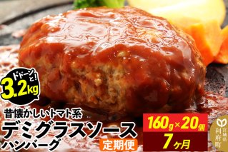 《定期便7ヶ月》ドドンと3.2kg！昔懐かしいトマト系デミグラスソースハンバーグ (160g×20個)×7回 肉 洋食 簡単 大容量 湯煎 湯せん 個包装|10597