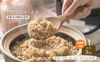 [定期便6回][令和8年産]自然栽培米 3kg|選べる 玄米・分づき・白米/ 無農薬 米 お米 一等米 こめ コメ 国産 新米 玄米 農家やまおか 除草剤 肥料不使用 奈良県 宇陀市 ふるさと納税