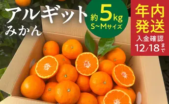 YA1002_完熟 アルギット みかん 5kg S～M サイズ 年内発送